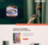 Template de um site de restaurante mostrando um prato com torradas e salada.