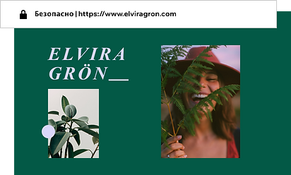 Собственный домен для сайта-портфолио под названием Elvira Gron